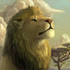 Avatar for lion_stas