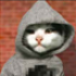 Avatar for Rezakk
