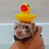 Avatar for Skaykan