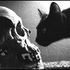 Avatar für kin1990