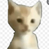Avatar for Krusty_423