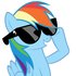 Avatar di Dashie