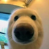rizon__ 的头像