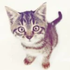Avatar for cshhater