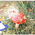Avatar for JellyShoes
