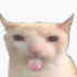 Avatar for Nemesis2406