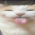 Avatar for brittsolarteq10