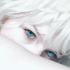 Avatar for elolll