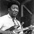 Muddy Waters 的头像