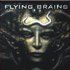 Avatar for Flying Brains