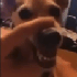 qwobby 的头像