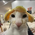 viiictorvt00 的头像