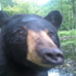 Avatar for ratiiir