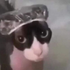 Avatar für arcanjo64