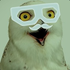 Avatar di oOeinsiOo