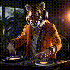 Avatar for Tigr-grand