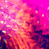 Avatar for LiveFeedback