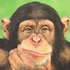 Avatar de Pepoloko