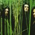 Avatar for Type O Negative