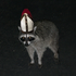 Avatar di SnSnSH