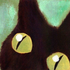 Avatar for Morgana2211