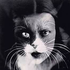 Avatar for baumkrisztina