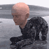 ayvayva 的头像