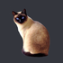 Avatar di TheSiameseCat