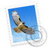Avatar for iamkartk
