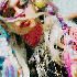 Avatar for thestealer11