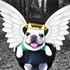 Avatar di Mrcalmnga
