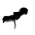 Avatar de ibetyoubang