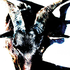 Avatar de Gilberto_IV