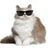 Avatar di rebekkahl97