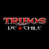 Avatar for tribusdechile