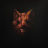 Avatar for vhugoaguiar