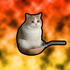 Avatar di mwngo