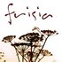 Frisia 的头像