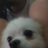 Avatar for samyangggg