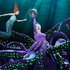 Avatar de Little Mermaid (Dutch Cast Recording)