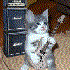 Avatar di redforspeed