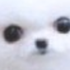 Avatar for Twostared