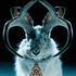 Avatar for Iwwory