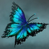 Avatar di Namisa_