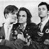 The Doug Anthony Allstars 的头像