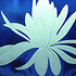 Avatar for Tsaa