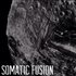 Avatar for Somatic Fusion