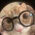 Avatar für augusto_moia