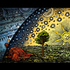 Avatar for sesq2