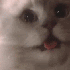 Avatar for authorised